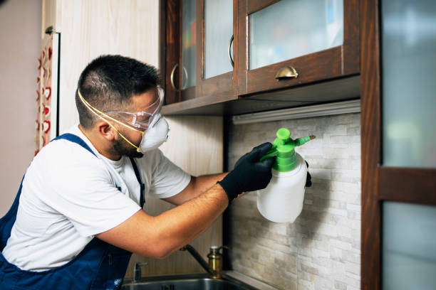 Best Residential Pest Control  in Sprague, WV