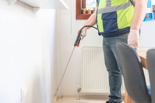 Best Wasp Removal Services  in Sprague, WV